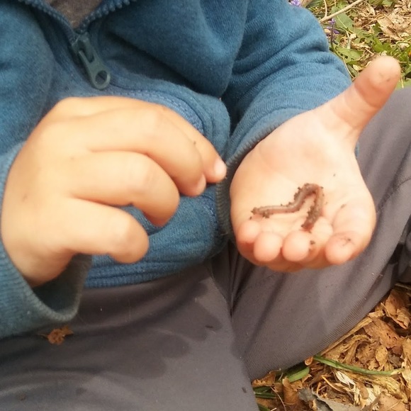 Meet your Posher, Fallon - Picture 1 of 1